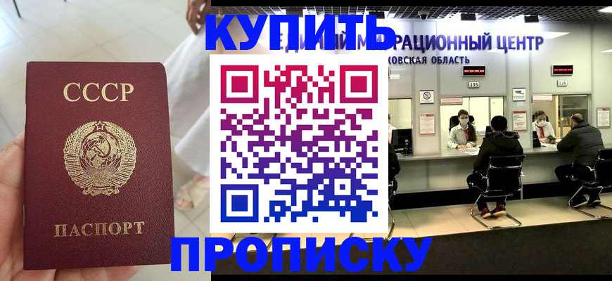 временная регистрация адрес в Елизово